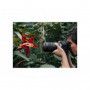 Canon RF 100mm f/2.8L MACRO IS