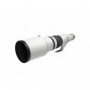 Canon RF 600mm f/4L IS USM