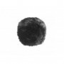 Cinela LEONARD's fur