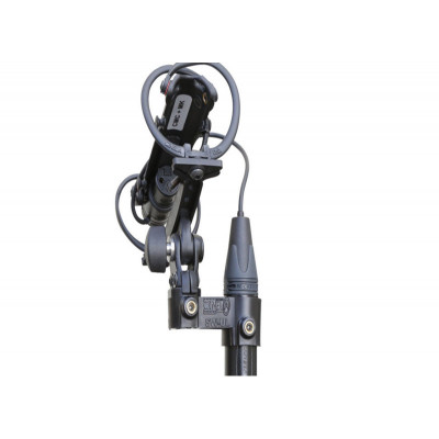 Cinela Suspension Module for DPA4017B Hard (8-1-0R)