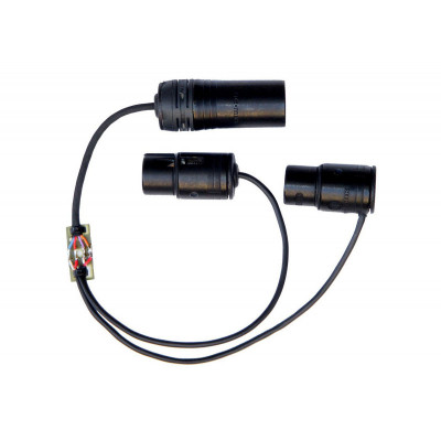 Cinela Cable 2 x Lemo/XLR5M for CCM MS