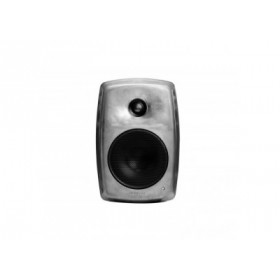 Genelec Enceinte Active SMART IP 5" 2 Voies RAW