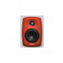 Genelec Option Peinture Unitaire - 120RAL pour 4x20