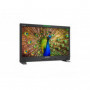 Lilliput Q31 Moniteur 4K 31.5 12G SDI
