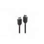 Lindy - Câble DisplayPort 1.2, Black Line, 2m