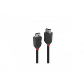Lindy - Câble DisplayPort 1.2, Black Line, 2m