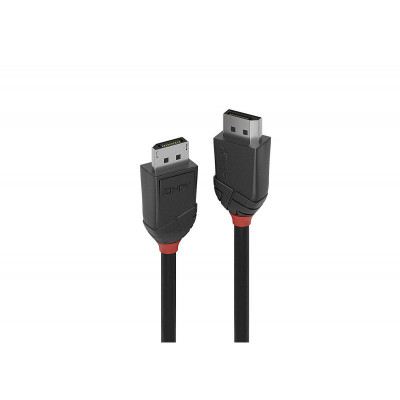Lindy - Câble DisplayPort 1.2, Black Line, 2m