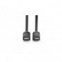 Lindy - Câble DisplayPort 1.2, Black Line, 2m