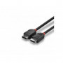 Lindy - Câble DisplayPort 1.2, Black Line, 2m