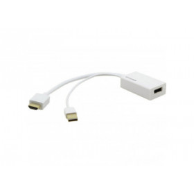 Kramer ADC-HM/DPF Cable HDMI male vers DisplayPort femelle