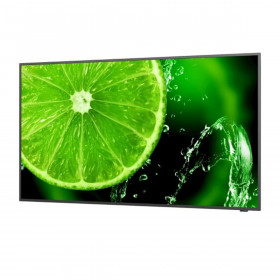 NEC MultiSync E558 écran 4K 55" résolution 3840x2160 dalle IPS