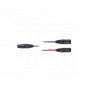 ATPro AE2500 Microphone cardioide a double capsule