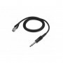 ATPro AT-GcH Câble de Guitare pour HRS avec Jack 6,35 mm - cH-style