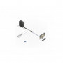 Lindy - Adaptateur DP vers DVI-D Classic
