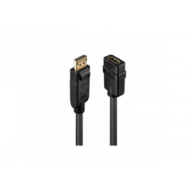 Lindy - Convertisseur Passif DisplayPort vers HDMI