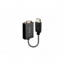 Lindy - Convertisseur Actif DisplayPort vers VGA