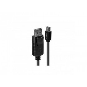 Lindy - Câble Mini DP vers DP, noir, 1m