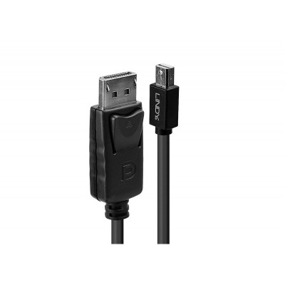 Lindy - Câble Mini DP vers DP, noir, 1m