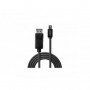 Lindy - Câble Mini DP vers DP, noir, 1m