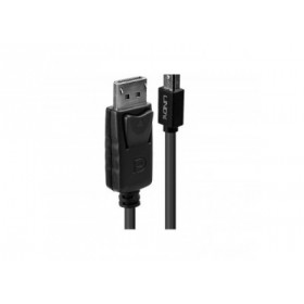 Lindy - Câble Mini DP vers DP, noir, 2m
