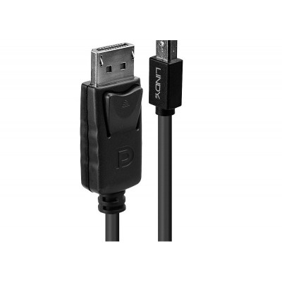 Lindy - Câble Mini DP vers DP, noir, 2m