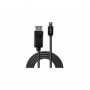 Lindy - Câble Mini DP vers DP, noir, 2m