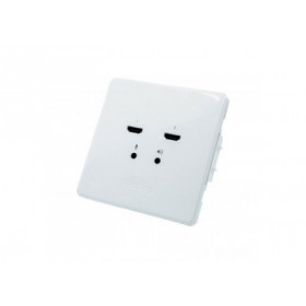 BirdDog Wallplate Dual Input