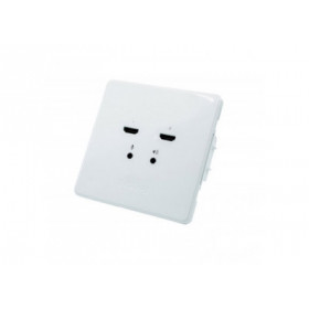 BirdDog Wallplate Dual Output