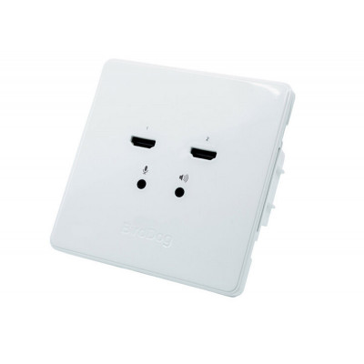 BirdDog Wallplate Dual Output