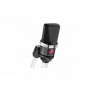 Neumann TLM 102 mt Microphone a grande membrane - Electrostatique