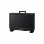 Sony Moniteur video professionnel 18 pouces