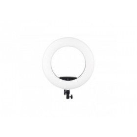 Ring Light LED Dörr SL-480 Blanc