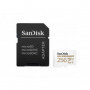 Sandisk Carte M.SDXC "Max Endurance", 256GB +Ad, UHS-3, Cl.10