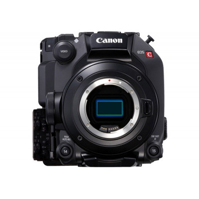 Canon EOS C300 Mark III - Video Plus