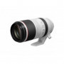 Canon Objectif RF 100-500mm F4.5-7.1 L IS USM