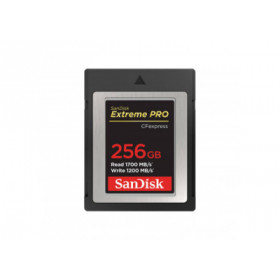 Sandisk Carte memoire CFexpress "Extreme Pro", 256GB, 1700/1200MB/s