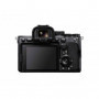 Sony Alpha 7S III - Appareil Photo - VIDEO PLUS