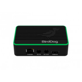BirdDog Flex 4K Backpack - Encodeur NDI - Video Plus