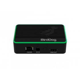 BIRDDOG FLEX 4K OUT - Décodeur NDI - Video Plus