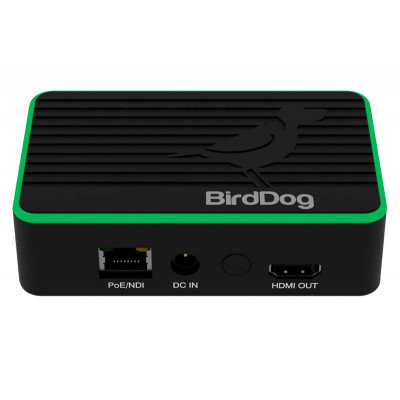 BIRDDOG FLEX 4K OUT - Décodeur NDI - Video Plus