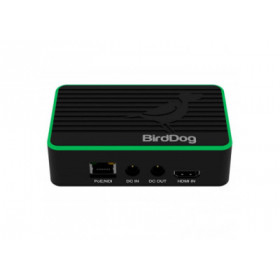 BirdDog Flex 4K IN Encodeur NDI - Video Plus