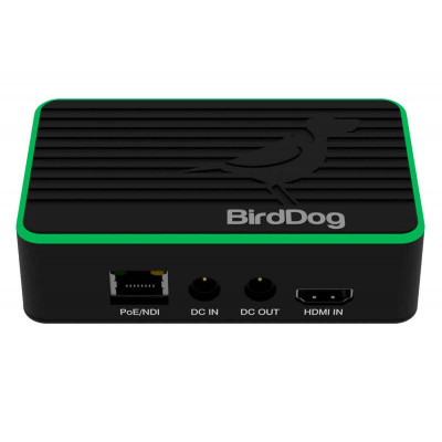 BirdDog Flex 4K IN Encodeur NDI - Video Plus