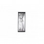 NanLite Softbox asymetrique 110cmx45cm pour Forza 500/Forza 300