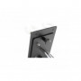 NanLite T12 transparent pour 2 PavoTube 15C/30C