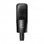 ATPro AT4033a Microphone cardioide avec AT8449a