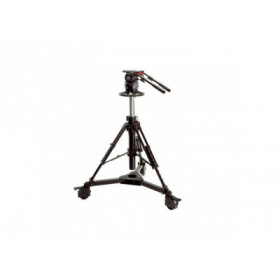 Sachtler Systeme 25 C III - 2570