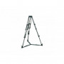 Vinten Trepied ENG double-extension (bol 100mm) Al PL  3821-3