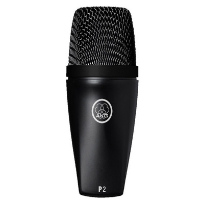 AKG P2 Microphone de scène pour instruments graves