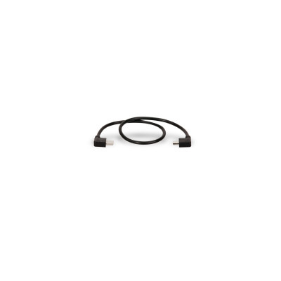 Tilta Câble d'alim Nucleus-Nano Micro USB vers USB-C Nano Motor