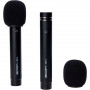 Zoom Paire de microphones à condensateur